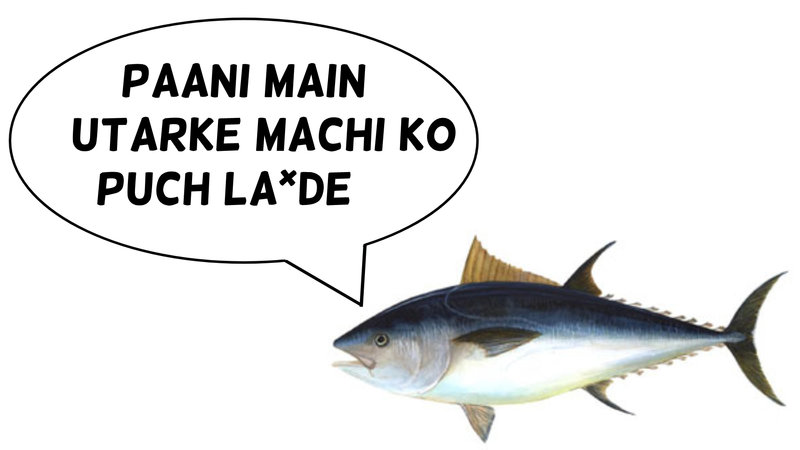 Marathi Name Of Tuna Fish meme / Paani main utarke machi ko puch lavde.