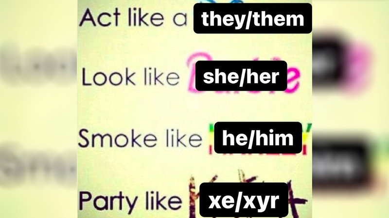 Act Like a They/Them, Look Like a She/Her, Party Like a He/Him, Smoke Like a Xe/Xyr Meme and TikTok song.