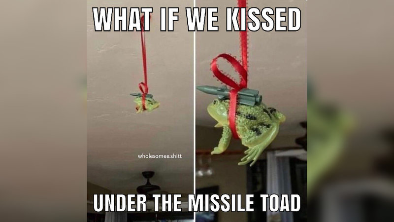 Missile Toad meme depicting a missile strapped to a toad hanging from the ceiling.