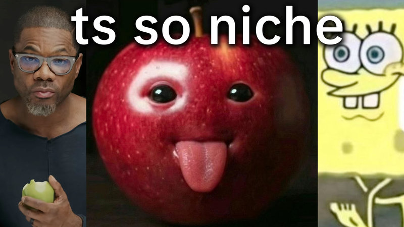 TikTok Niche Community and NicheTok image examples.