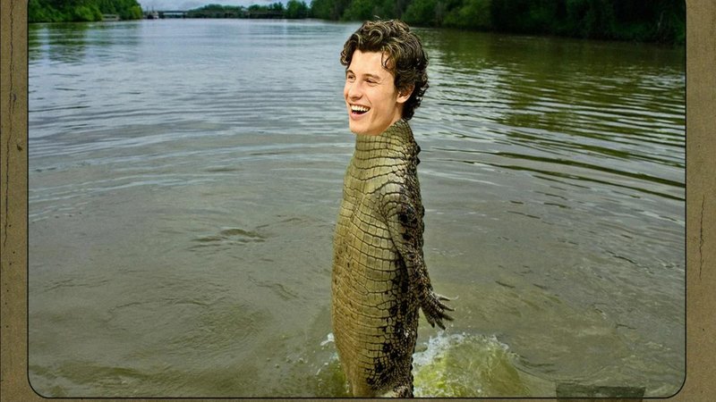 Shawn Mendez's face photoshopped on a crocodile