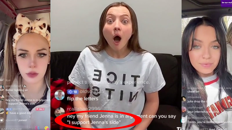 I Support Jenna's Side TikTok videos and comments.