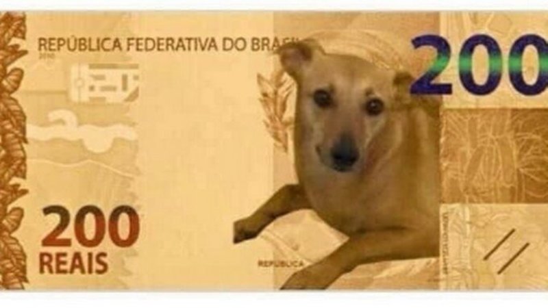 Vira-Lata Carmelo on a 200 Reais bill