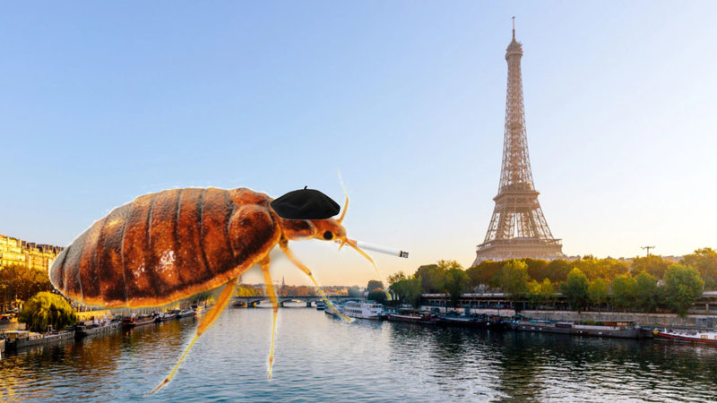 A meme of a bedbug wearing a french hat with a cigarette in Paris in reference to the 2023 France Bed Bug Infestation.