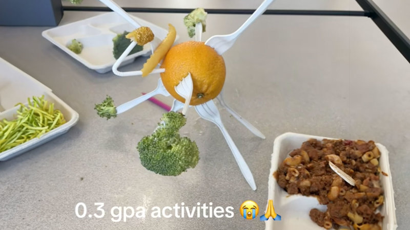 0.5 GPA Activities (TikTok Trend) 0.5 GPA Activities TikTok Trend example image.