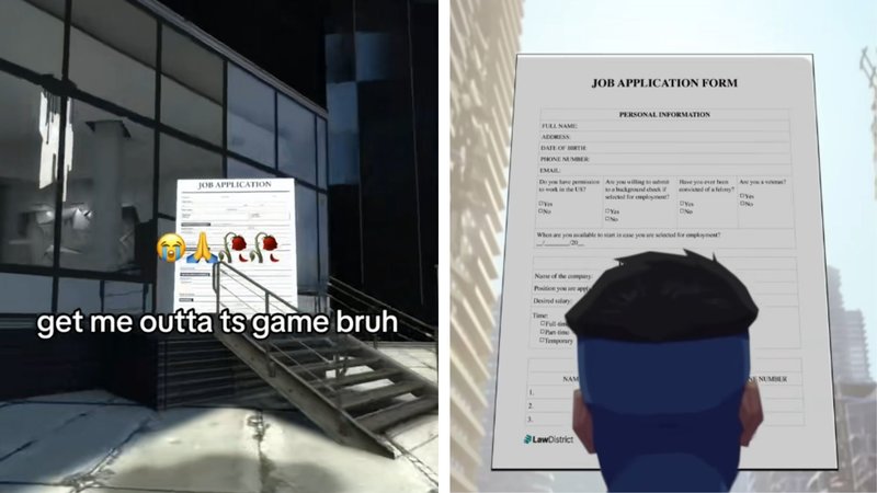 Job Application Form Job Application Form meme examples.
