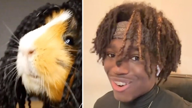 Shake Your Dreads meme / Shake Yo Dreads