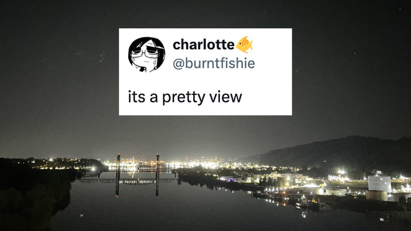 Charlotte Fosgate "It's a Pretty View" Tweet and Suicide