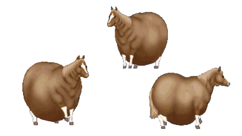 Fat Horse GIF Spinning Fat Horse GIF and meme.