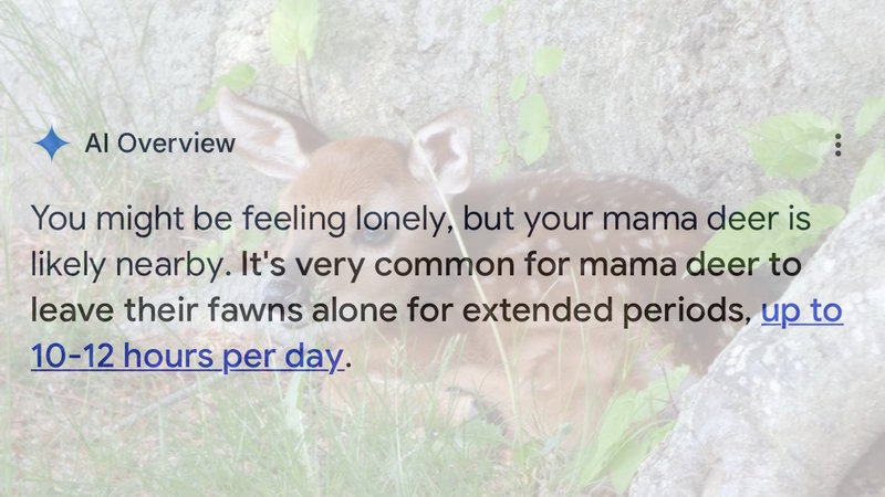 Where Is Mama AI Overviews image example.