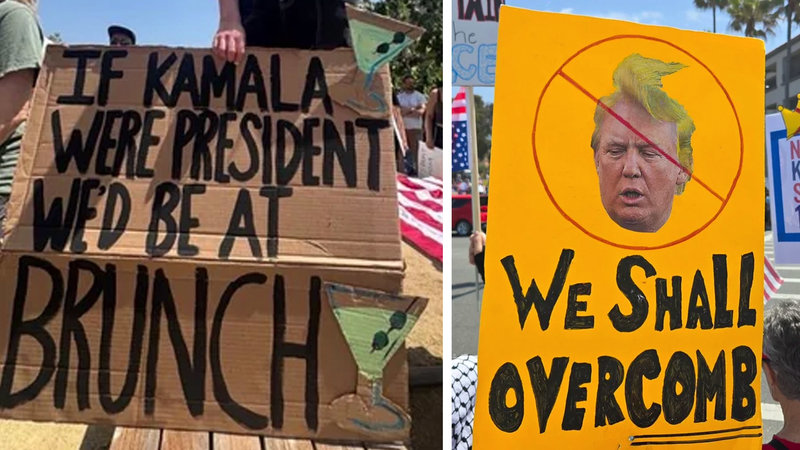 No Kings Protest Signs image examples.