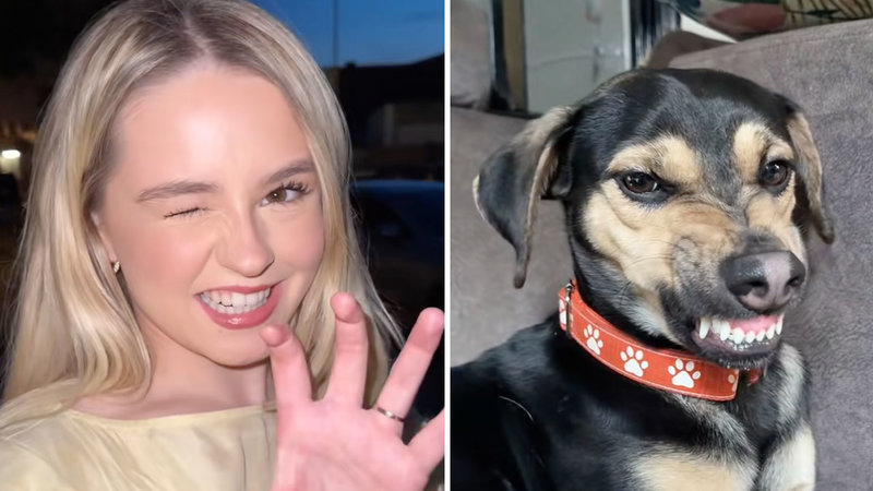 Dame Un Grrr TikTok trend and meme example images.