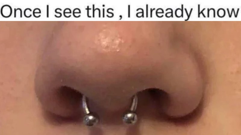 Septum Theory Septum piercing Theory image and meme example.