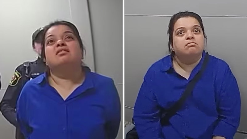 Indian Woman Jimisha Avlani Stealing From Target for 7 Hours Indian Woman Stealing From Target image examples.