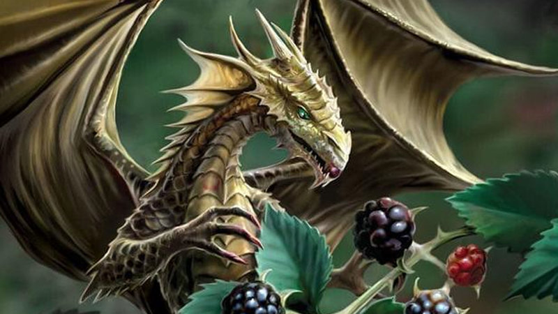 Hey Everybody It's the Blackberry Dragon meme