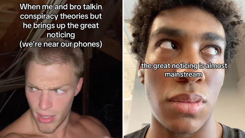 The Great Noticing image examples from tiktok.