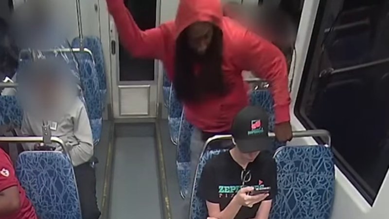 Decarlos Brown Iryna Zarutska Stabbing image example.