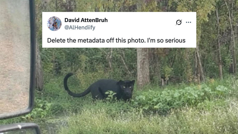 Delete The Metadata Off This Photo I'm So Serious meme example.