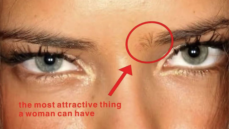 The Most Attractive Thing a Woman Can Have Eyebrow Hair meme and image example.