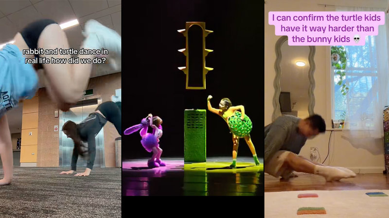 Rabbit and Turtle Dance / meme image examples.