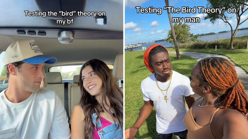 Bird Theory Bird Theory image examples from TikTok.
