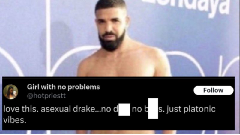 Love This Asexual Drake / Just Platonic Vibes meme and tweet example.