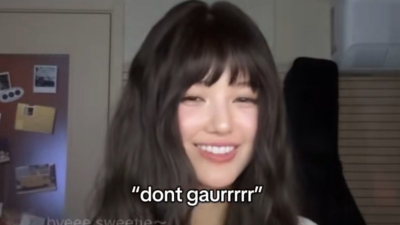Naur Don't Gaur meme depicting NewJeans member Danielle.