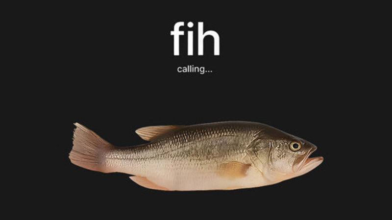 Fih meme