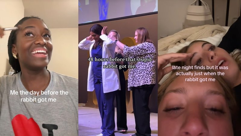 The Rabbit Got Me trend tiktok examples.