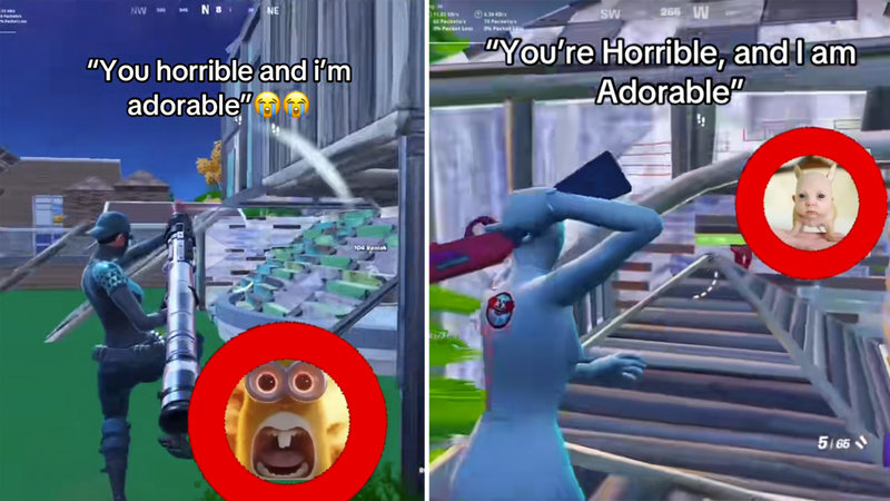 You Horrible and I'm Adorable meme example images.
