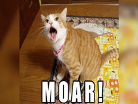 MOAR