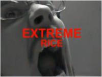 Extreme X