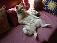 Boris