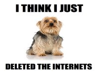 I Think I Just Dog