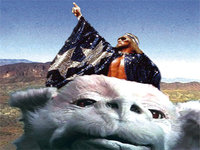 Where's Randy Savage?