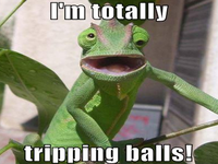 Tripping Balls