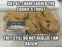 They Still Do Not Realize...