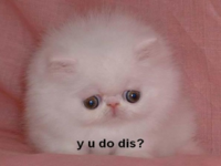 Y U Do Dis?