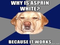 Racist Dog