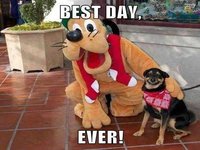 Best. Day. Ever.