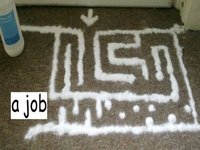 Slug Maze
