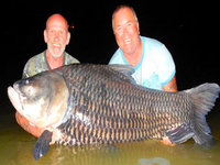 2 Guys 1 Fish