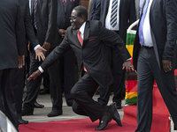 Robert Mugabe Fall