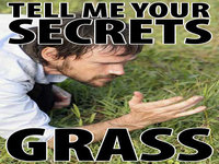 Tell Me Your Secrets, Grass
