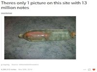 There's Only 1 Picture on This Site With 15 Million Notes