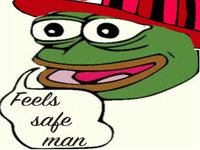 4chan Safety Squad Raids