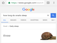 Snails Sleep 3