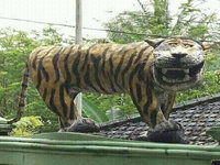 Harimau Lucu
