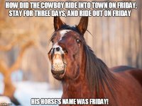 The horse's name was friday