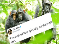 Tim Allen's Evolution Tweet
